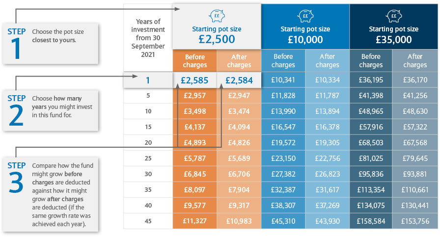 An image showing how to read the Fund Illustration tables