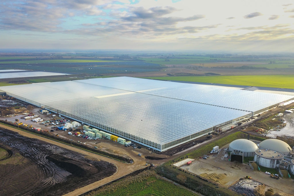 greenhouse image